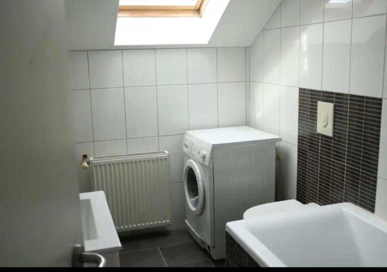 Le Wolf - 1 Chambre Privee Dans Un Appartement - 5Mn Tram Du Centre Ville - 15Mn Tram Gare Tgv Mulhouse - Wifi - Parking Exterior foto